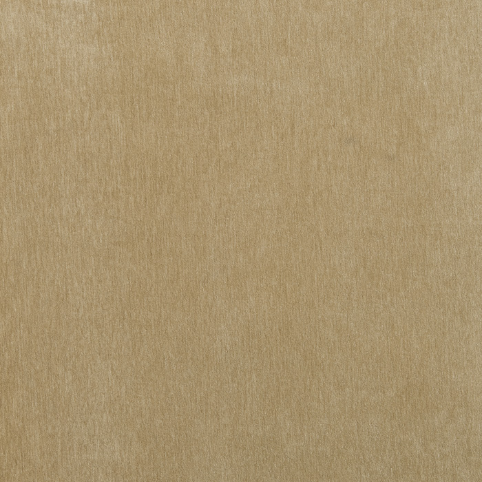 Nico Camel